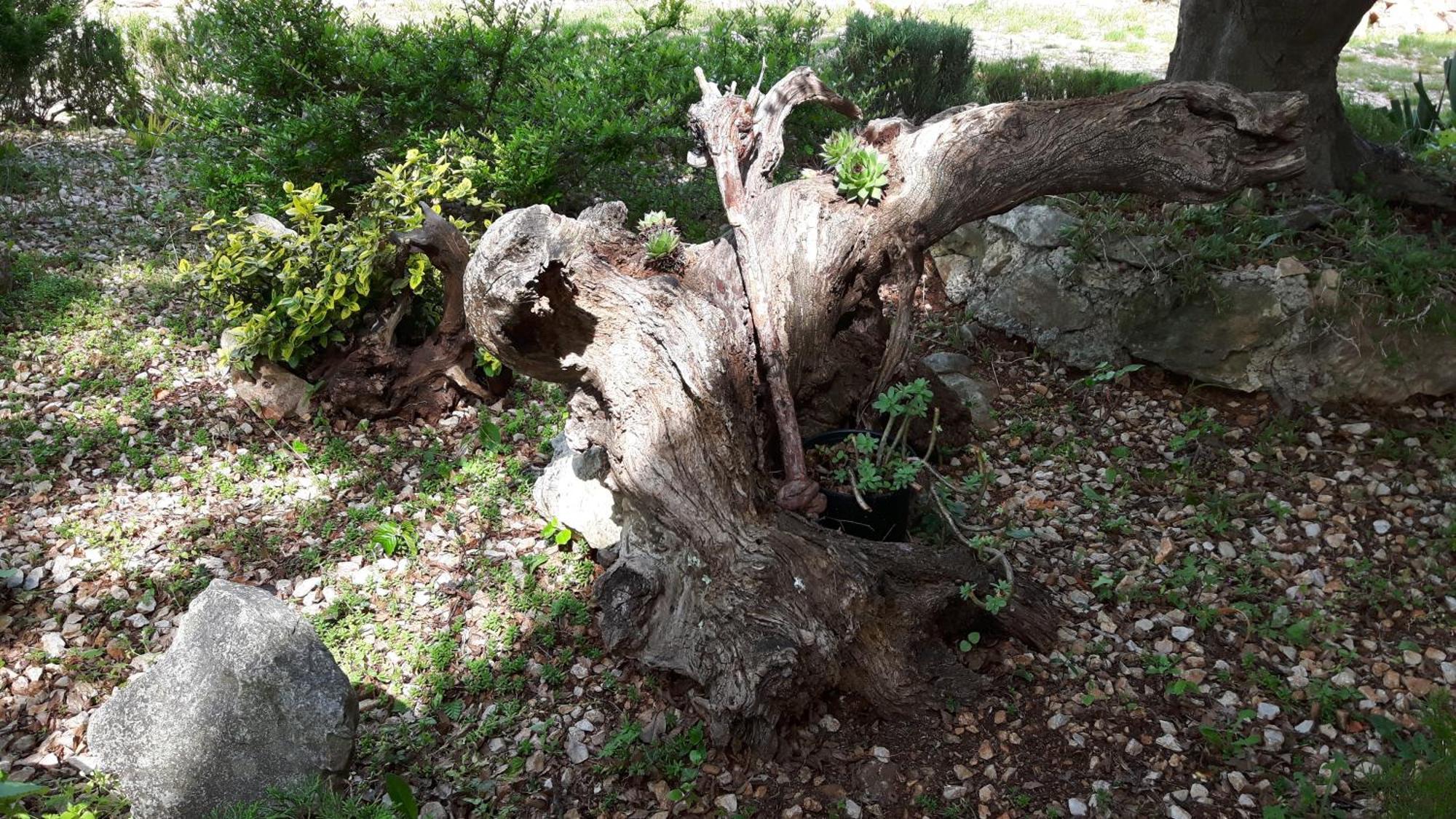 Apartmani Bilandzic-Krk Malinska Rum bild